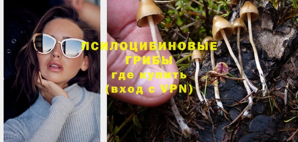 мяу мяу мука Баксан