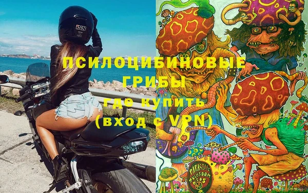 мяу мяу мука Баксан