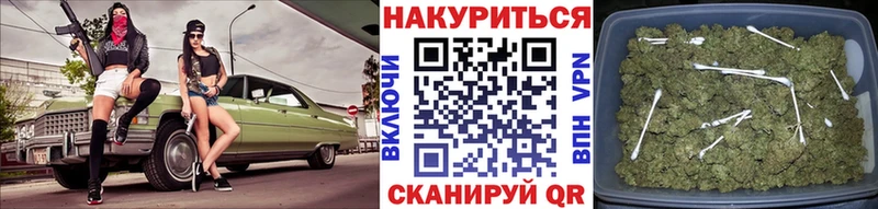 цены наркотик  Ряжск  сайты даркнета состав  Бошки Шишки SATIVA & INDICA 